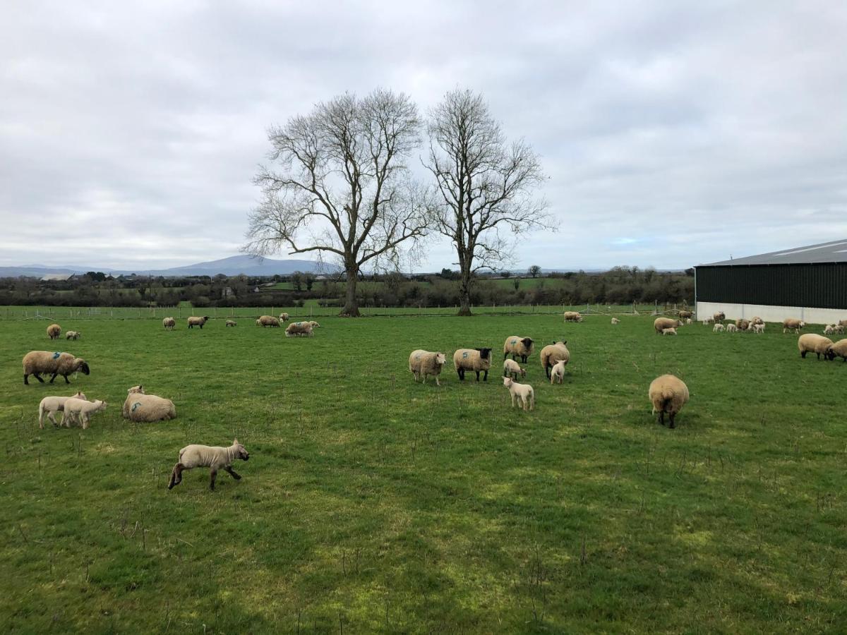 Knockreagh Farm Cottages, Callan, Kilkenny Eksteriør bilde